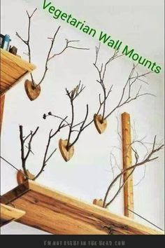 Vegetarian Wall Mounts