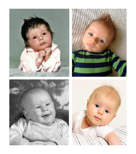 baby family 2 mo
