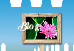 Blog