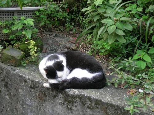 DSCN7059.JPG