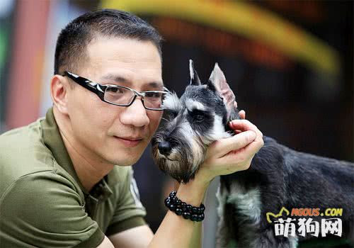 不同品种狗狗最佳断耳时间 安安娱乐咖秀 萌狗网移动版