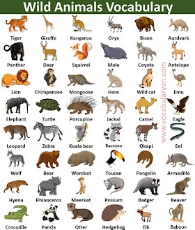 The Ultimate List Of Wild Animals In The World