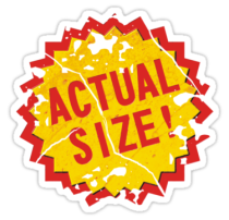 Actual Size