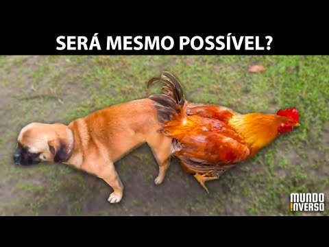 Imagem