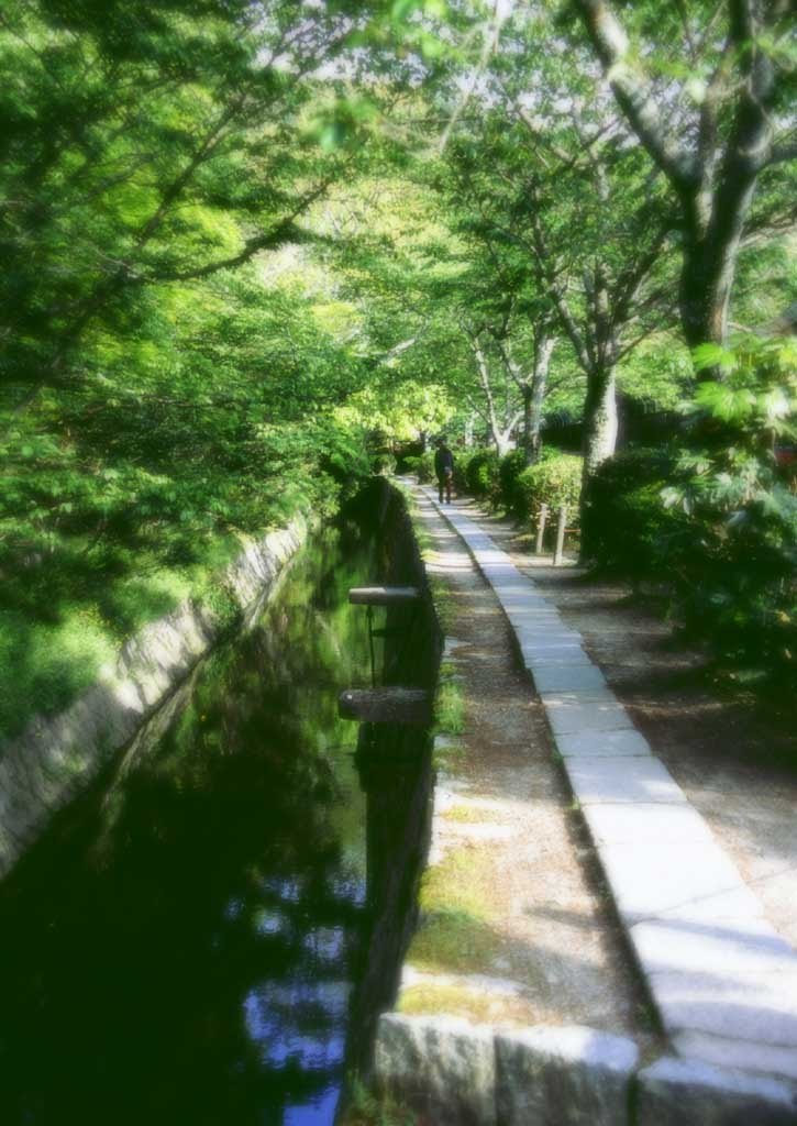 ゆんフリー写真素材集 No 8 哲学の道 日本 京都