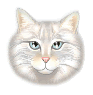 cutey Pictures, Images and Photos
