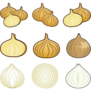 玉ねぎ タマネギ Gahag 著作権フリー写真 イラスト素材集
