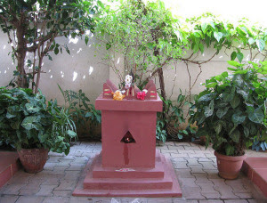 tulasi[1]