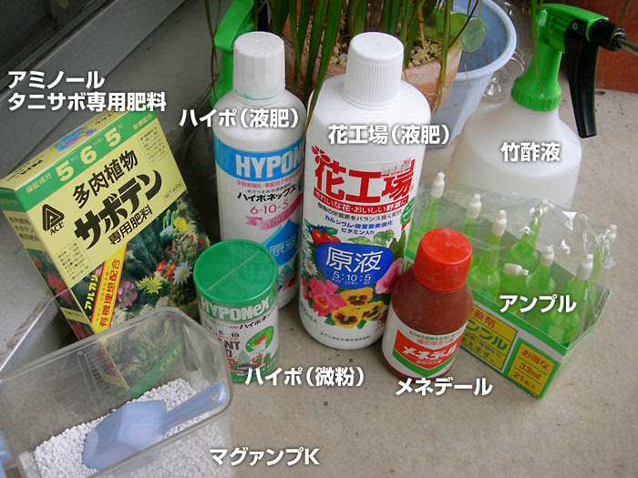 肥料についてのツレヅレ 緑町のウェブ屋 多肉植物と球根 着生植物のベランダガーデン 跡地