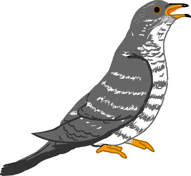 鳥 イラスト アイコン 無料 Bird Illustration