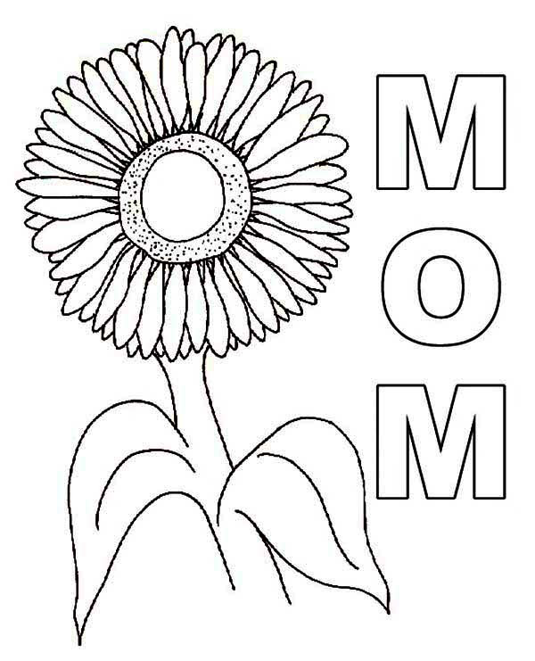 Sunflower Outline Drawing at GetDrawings | Free download