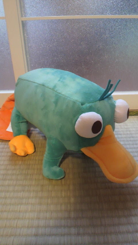 カモノハシペリー ろっくんろーる ペンギン