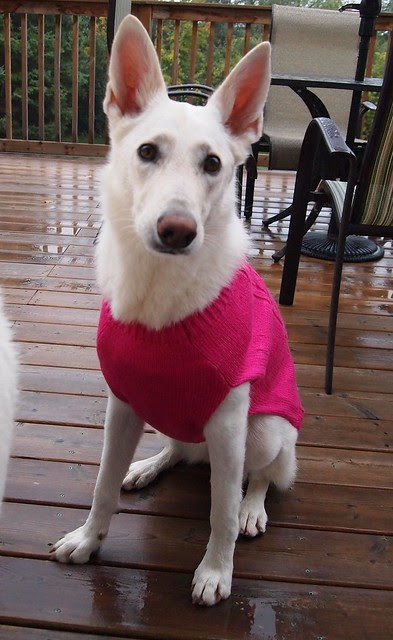 Maggie and her new sweater