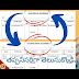 Return Purchase Journal Entry