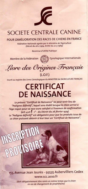 Documents officiels : achat ou adoption