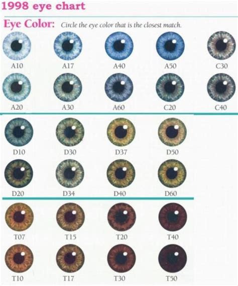  pin by on x eye color chart eye color chart genetics eye