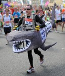 Shark attack .