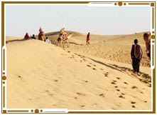 Safari in Jaisalmer