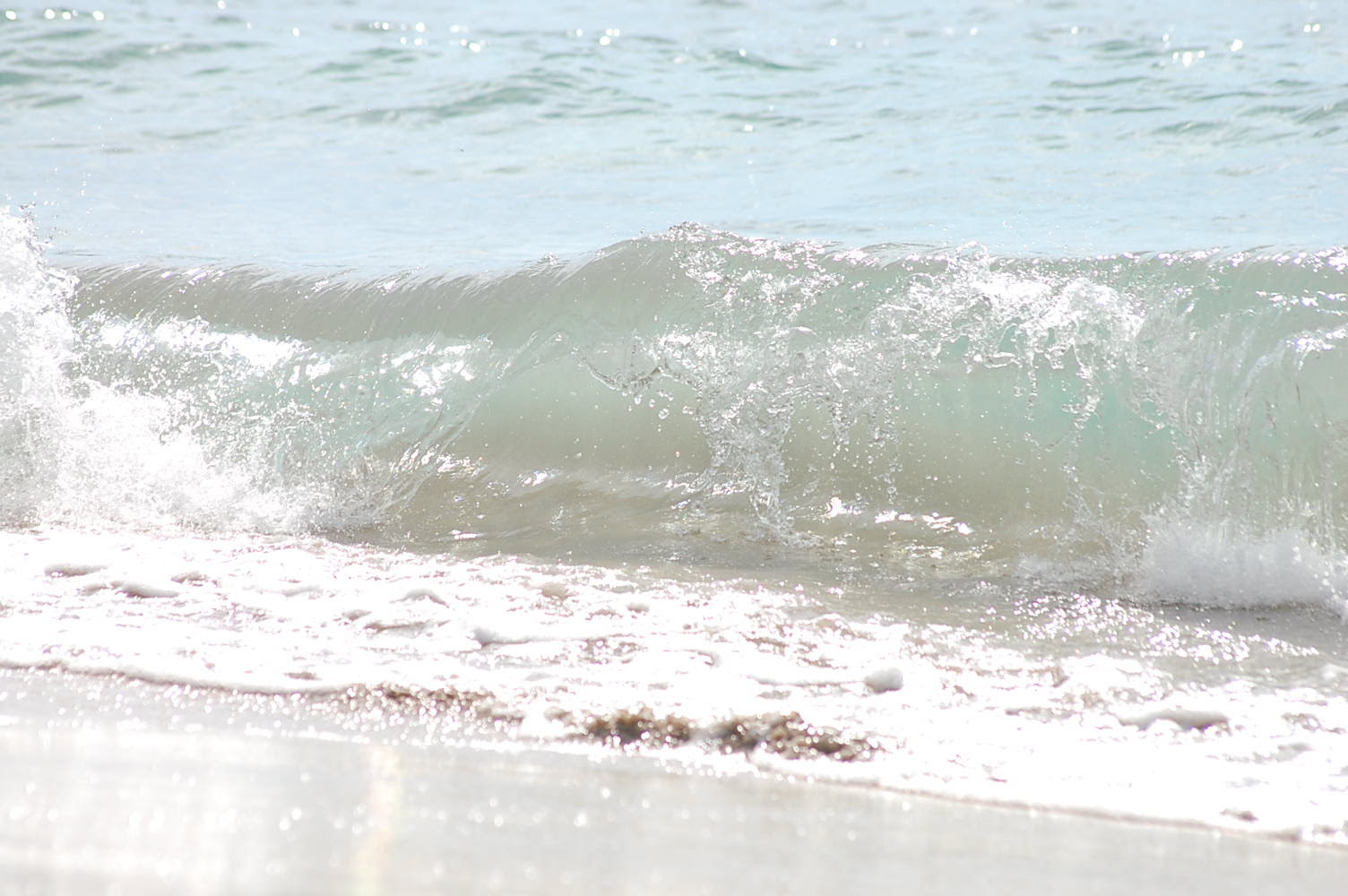 パタゴニア 京都 Rine サーフィンスクール