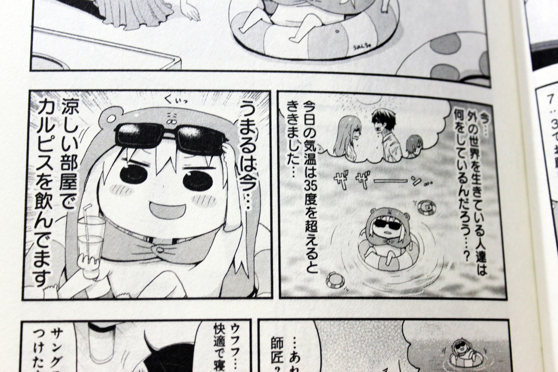 干物妹 うまるちゃん2巻レビュー 何気ないコマに癒しを感じる作品 アキバの王に俺はなる