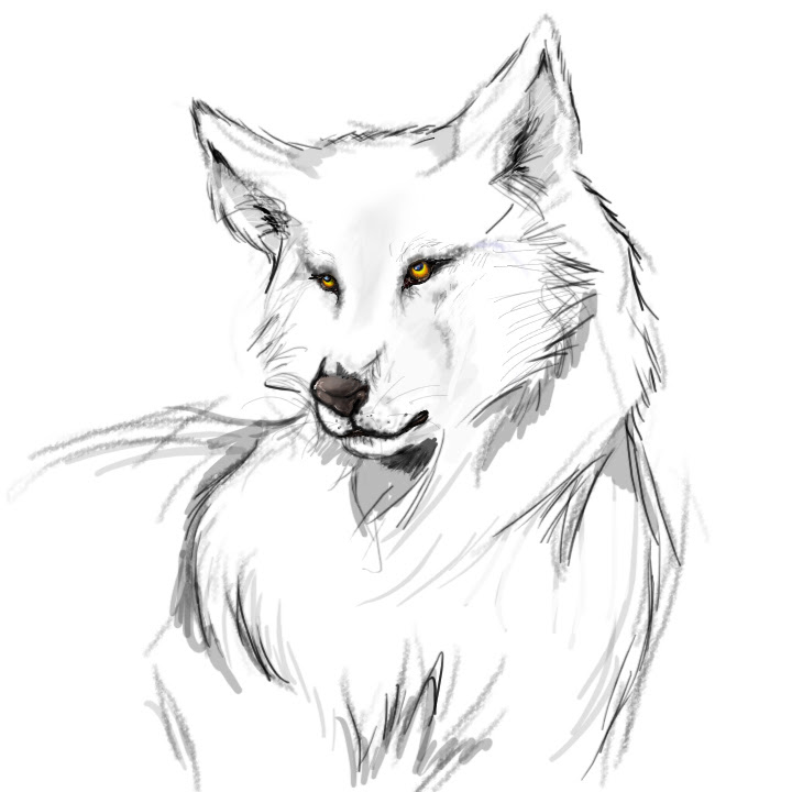 sketch - Clip Art Library