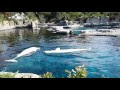 Mystic Aquarium Connecticut Aquariums