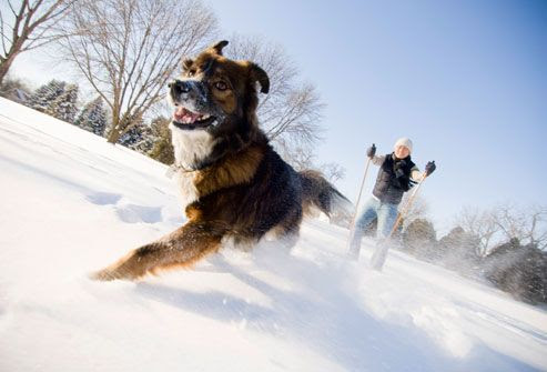 Click Here for Running Better With Asthma - Tips For Safe Exercise