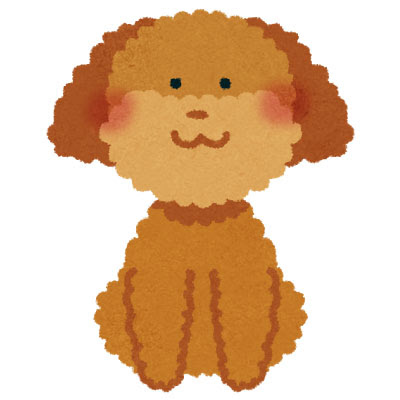 フリー素材 お行儀よくお座りしているトイプードルのイラスト ふわふわモコモコの毛並みが可愛いデザイン