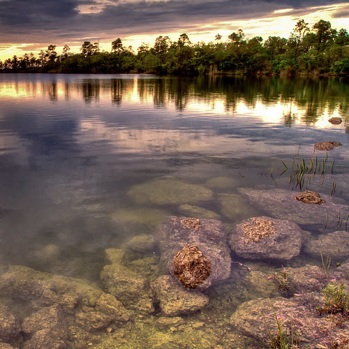 Nature by Ed Llerandi