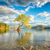 Hd Wallpapers For 1920x1080 Screen Hd Widescreen Wallpapers 1920x1080