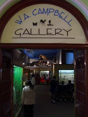 durban natural history museum - gallery
