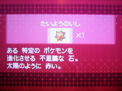 色違いチュリネに たいようのいし 有栖のポケモン日記