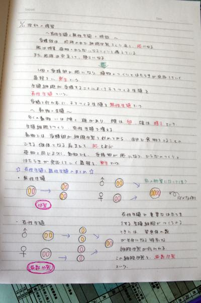 横手市立鳳中学校公式ブログ