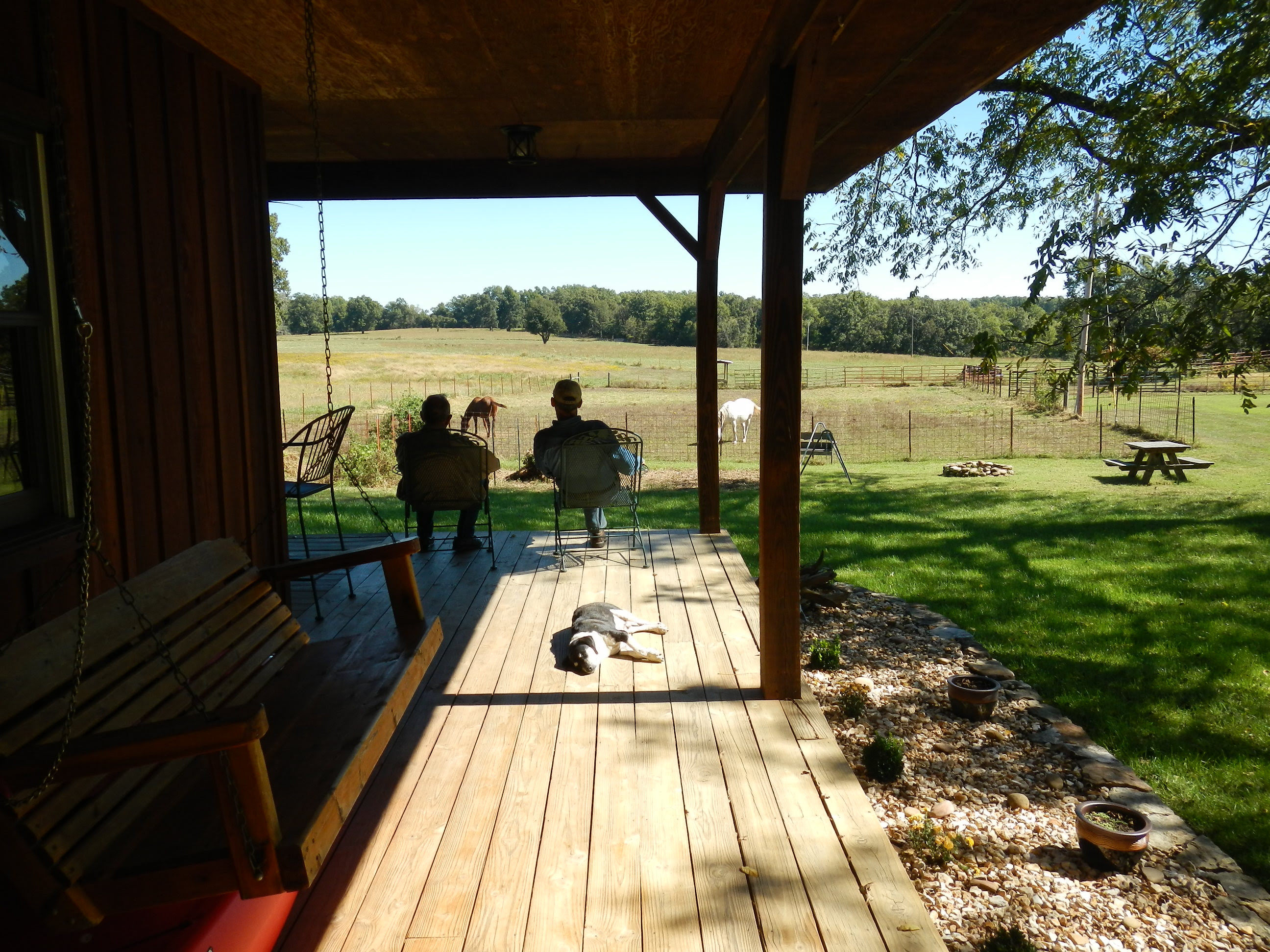 my how make to wheel hamster quiet October  the King   2013 of Friend A