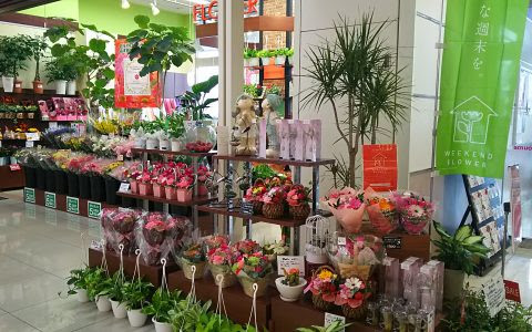 ゆめタウン 広島店 花の森みやもと