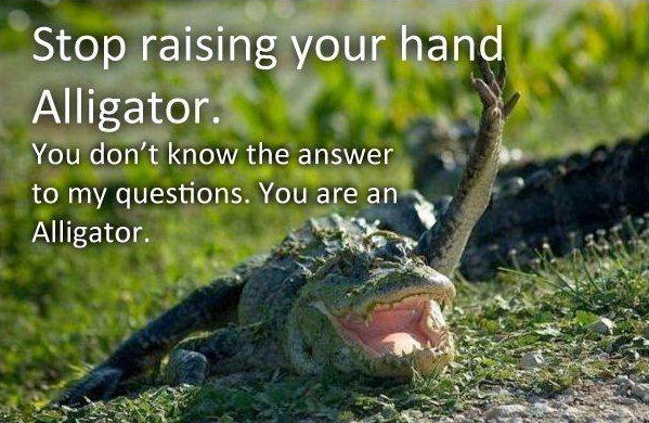 See You Later Alligator Meme By Koushichamp Memedroid