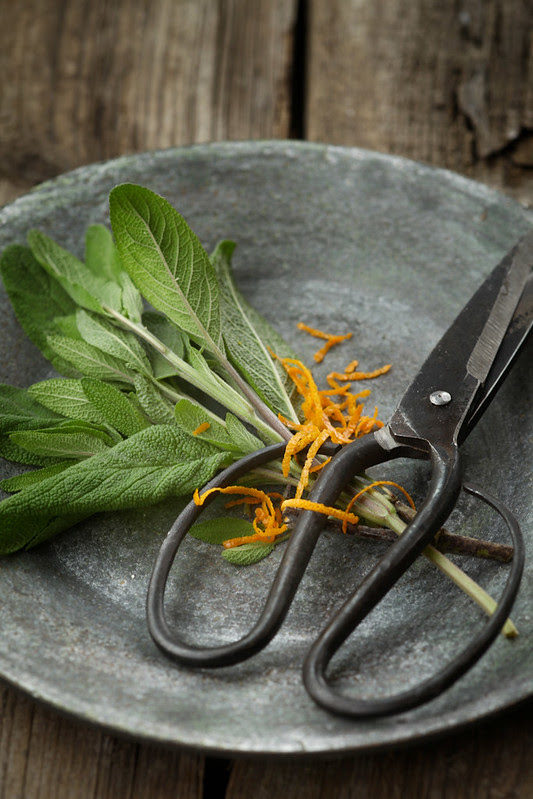 sage orange scissors