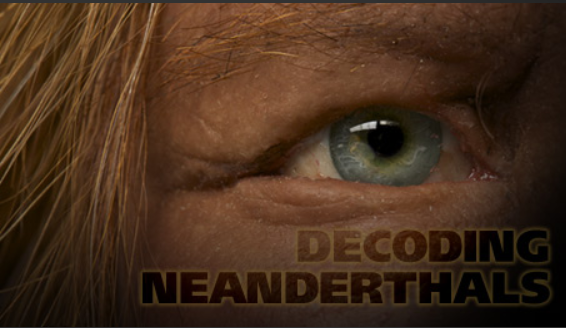 decod neanderthal 1