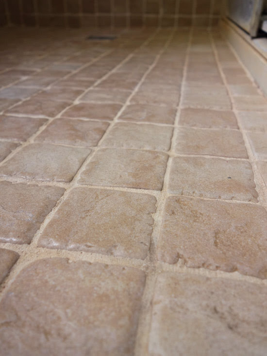 I'm going to spray it on my fence & exterior bricks of my house too. Best Cleaner For Pink Mold On Bathroom Grout - Curious Nut