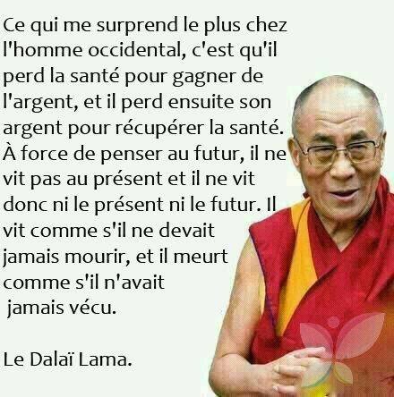 Citations Le Dalai Lama La Vie En Vert