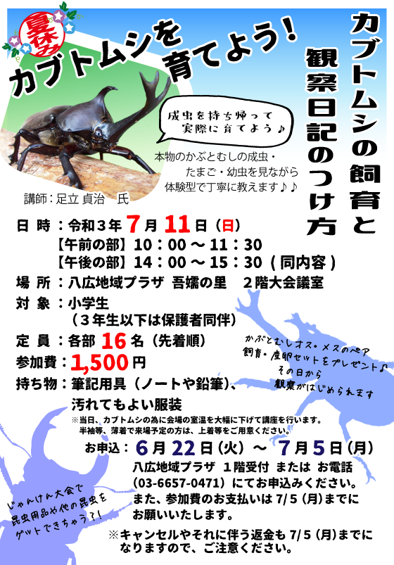終了 カブトムシの飼育と観察日記のつけ方 八広地域プラザ 吾嬬の里