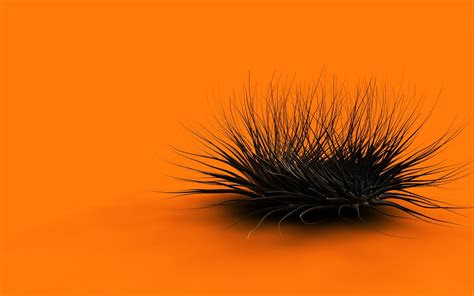 latest cool animated orange wallpapers myclipta