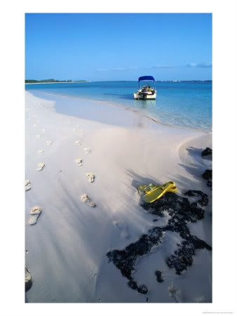  photo sandybeach.jpg