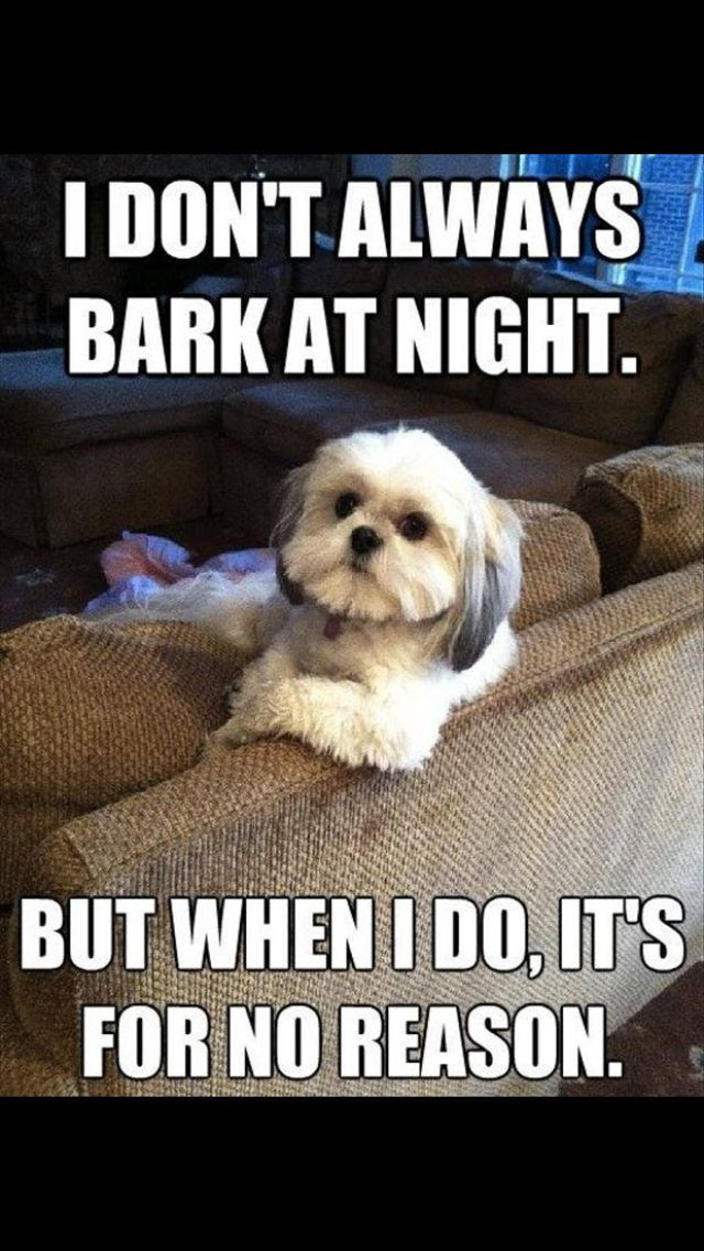 Dog barking quote | ahhhh yes! | Pinterest