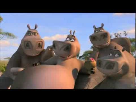 alles gute zum geburtstag sprüche lustig