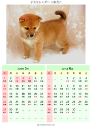 21 22 犬カレンダー 可愛い子犬カレンダー無料ダウンロード さくらカレンダー