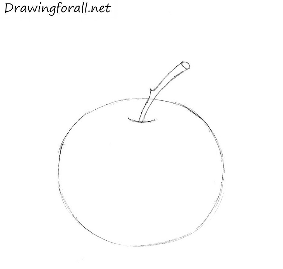 How to Draw an Apple for Beginners | Drawingforall.net
