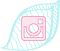  photo instagram60.png