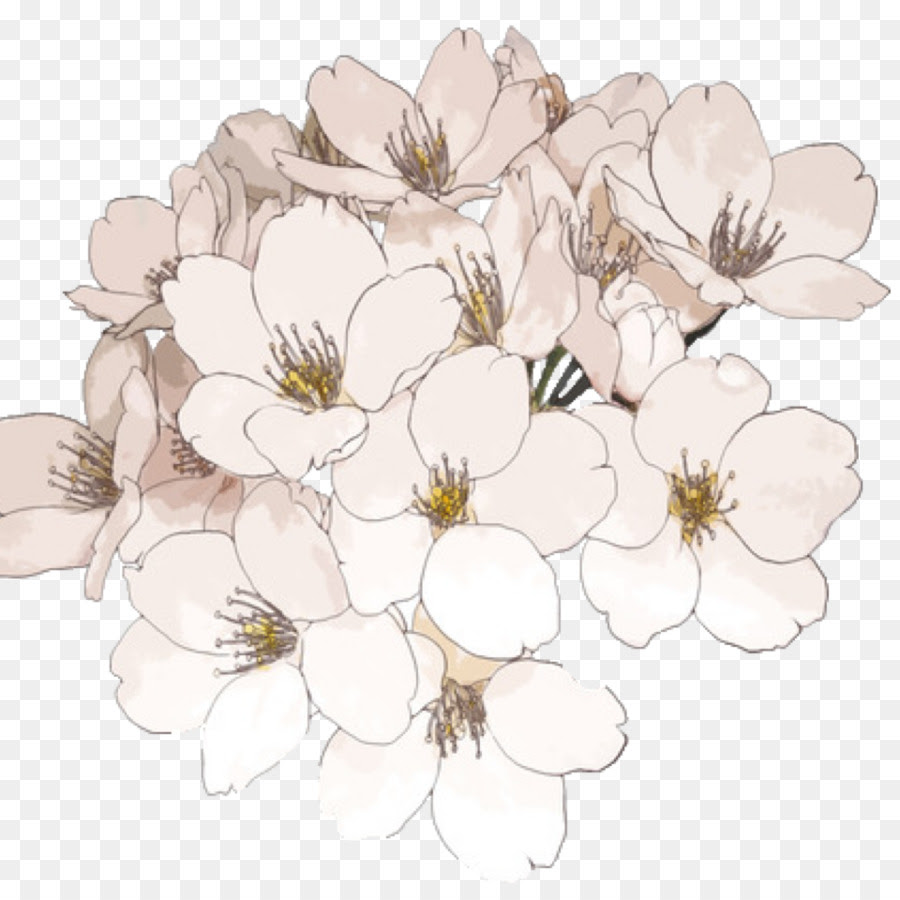 Free Flowers Tumblr Transparent Download Free Clip Art Free Clip