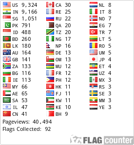 Flag Counter